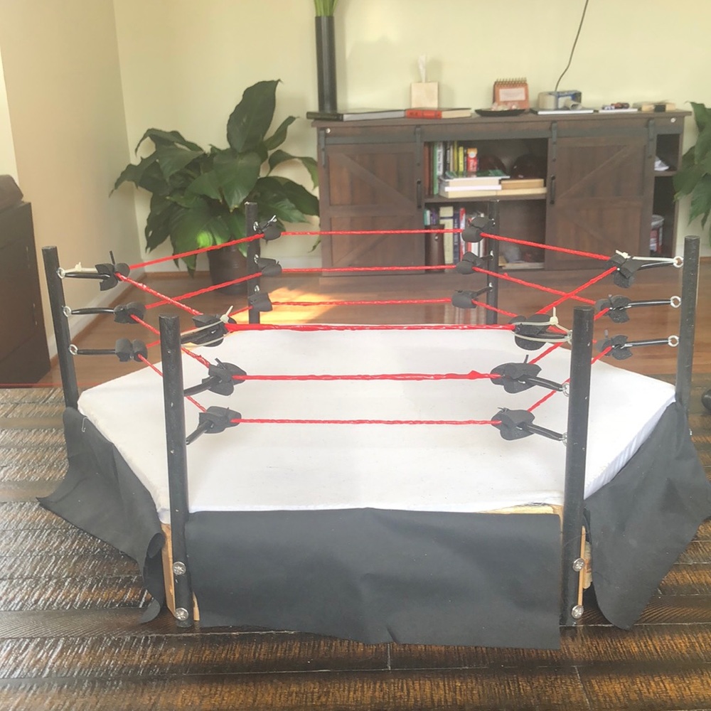 Handmade TNA Wrestling Ring